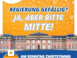 Wahlplakate 2024